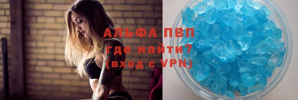 крисы Ессентукская