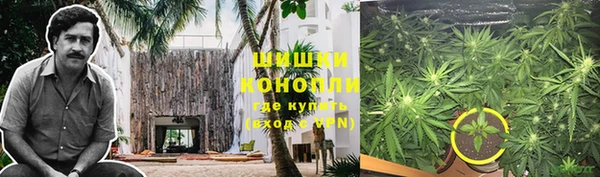 mdpv Гусев
