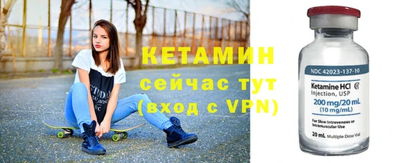 стаф Гусь-Хрустальный