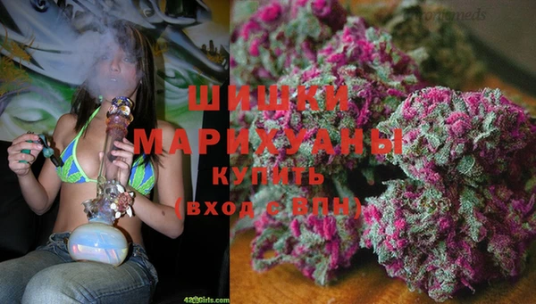 стаф Гусь-Хрустальный
